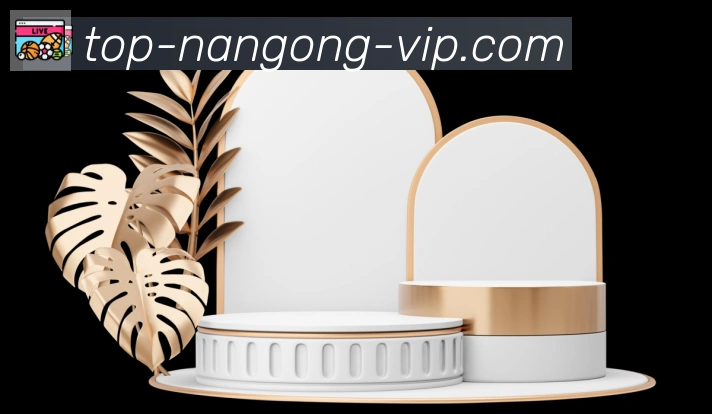 NG体育官网服务体系